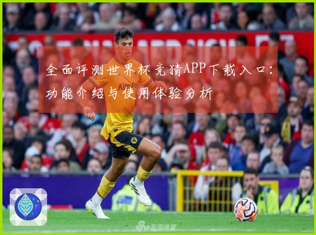 全面评测世界杯竞猜APP下载入口：功能介绍与使用体验分析