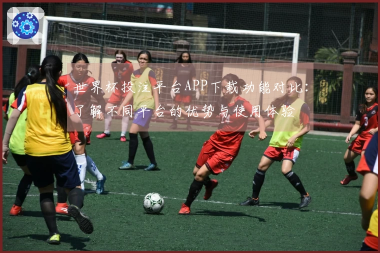 世界杯投注平台APP下载功能对比：了解不同平台的优势与使用体验