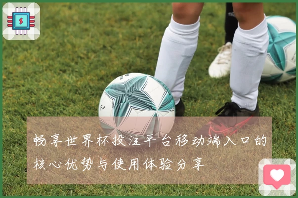 畅享世界杯投注平台移动端入口的核心优势与使用体验分享