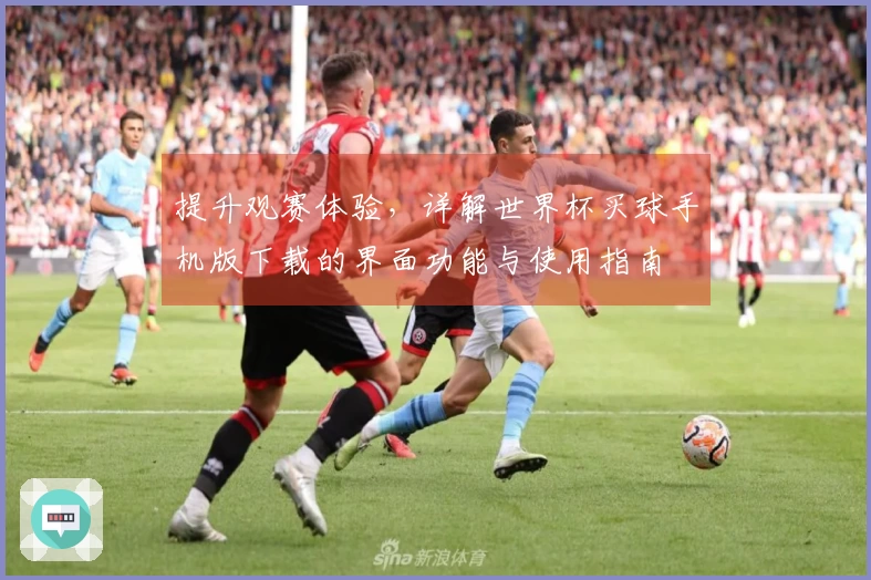 提升观赛体验，详解世界杯买球手机版下载的界面功能与使用指南